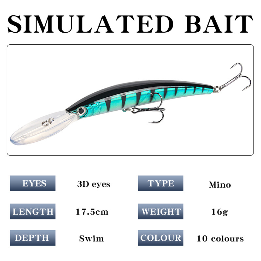 Long Tongue Minnow Fishing Lur - Fishing Lure Jerkbait 评论和价格
